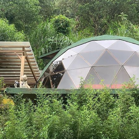 Apartament Magic Elf Glamping Mindo Zewnętrze zdjęcie