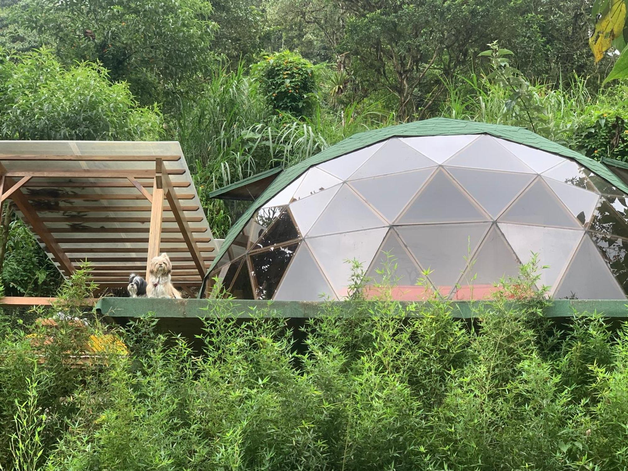 Apartament Magic Elf Glamping Mindo Zewnętrze zdjęcie